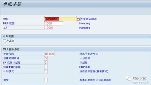 sap erp系统pp模块计划策略20 50详解