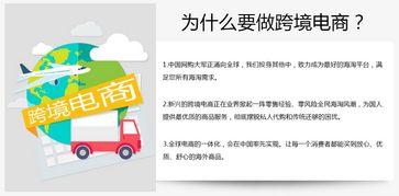 麦亿易软件科技亚马逊无货源模式erp系统开发店群模式